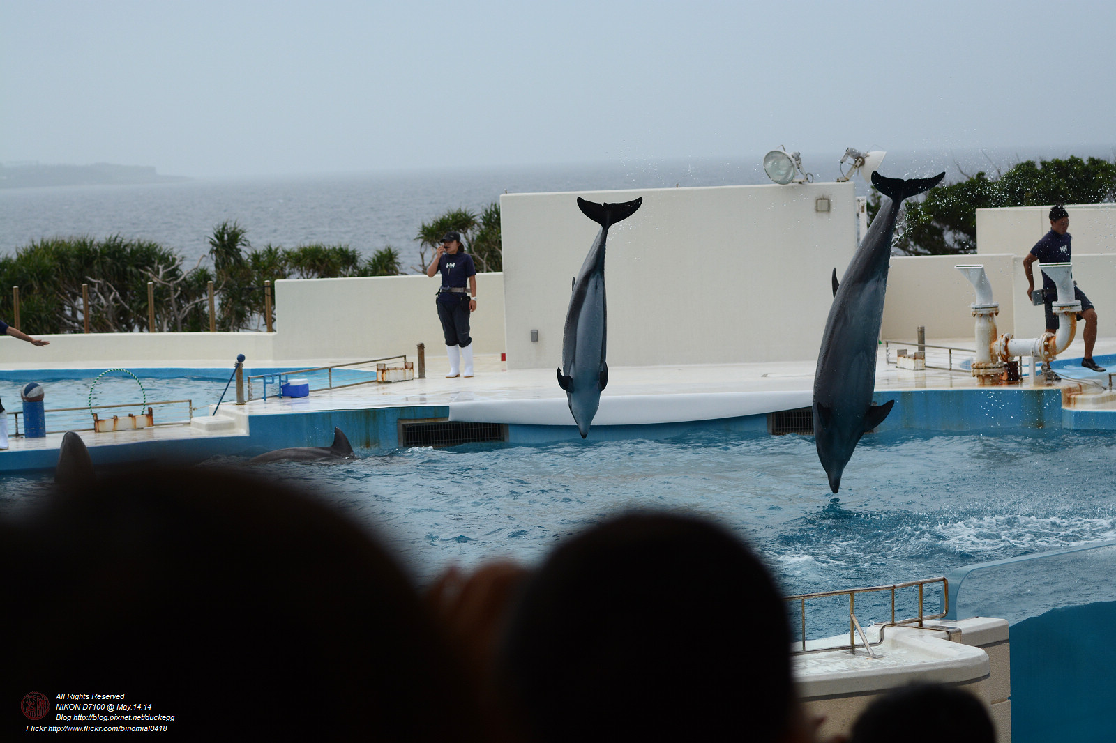 DSC_3013.jpg